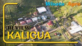 Explore Kaligua || Campervan dan Villa di Tengah Kebun Teh