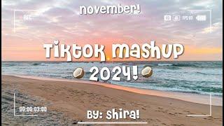 Tiktok Mashup 2024!