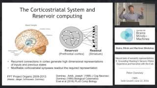 Neural Basis of Semantic Representations: II Grounding Meaning in Sensory-Motor Experience...