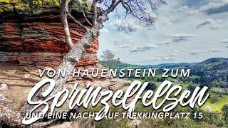 Von Hauenstein zum Sprinzelfelsen | Trekkingplatz 15, Hauenstein | Trekking in der Pfalz