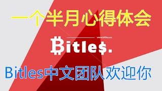 【scam已不推荐】网赚2020 | BITLES | 一个半月心得体会~