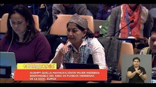 Claves para entender el conflicto mapuche en Argentina