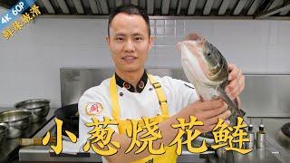 Chef Wang teaches you: "Scallion Braised Bighead Carp", a great Sichuan flavour fish 【小葱烧花鲢】【川味家常炖鱼】