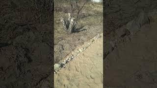 Фундамент. Ну очень бюджетный.