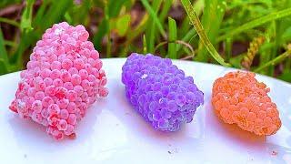 ASMR Crushed snail eggs | Apple snail Eggs 1 HOUR ASMR Relaxing, Hungry And Deep Sleep