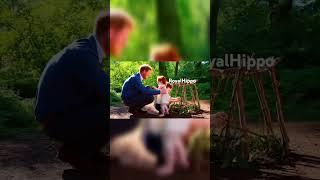 Prince Harry and kids exploring nature #nature #princeharry #outdoors #archie #lilibet #trees #fire