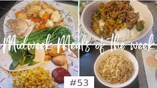 Meals of the week! | Midweek meals for my family | What we eat in a week #53 | What I feed my kids