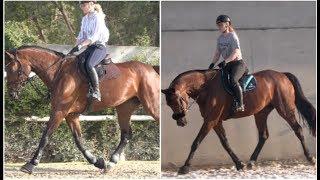 BIT V.S BITLESS? (Comparing both methods in the same horse)