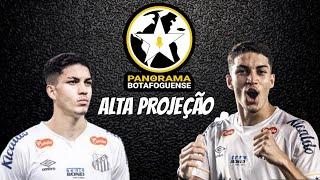 [[Corte Live]] RECUSA DE JAIR FRUSTA PROJEÇÃO DO BOTAFOGO BASEADA EM ANÁLISE CRITERIOSA DO SCOUT