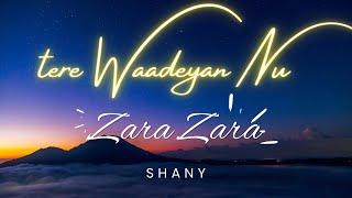 Zara Zara | Reprise | Shany Haider #zarazara #shanyhaider #slowedandreverb