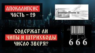 Содержат ли чипы и штрихкоды число зверя? - Лекция 29 | Апокалипсис | Сергей Комаров