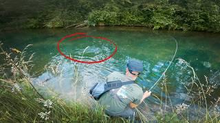 This MICRO river with ULTRA CLEAR water is home to EXCEPTIONAL fish!