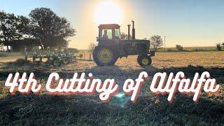 4th Cutting of Alfalfa! RESULTS ARE CRAZY!!