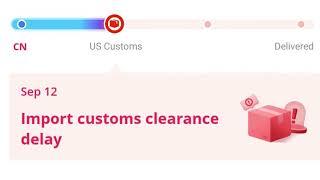 Import Customs Clearance Delay Meaning On AliExpress