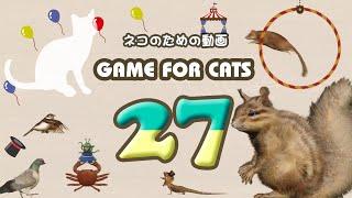 【猫用動画MIX27】リス・ねずみ・トカゲ・カニ・鳥 ４時間 GAME FOR CATS 27