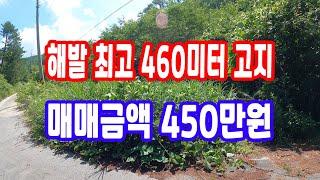 땅 시골 땅,임야 매매 450만원 해발 최고 460미터 고지,계곡 한 면 전체 접한 계곡땅 깊은 산 골 혐오 시설 없는 완전 자연 청정 산 속 땅 가재 잡이 힐링땅