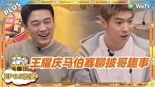 EP85期加更：王耀庆马伯骞聊披哥幕后趣事！ |《毛雪汪》EP85 PLUS #综艺 #王耀庆 #马伯骞 #李雪琴 #毛不易