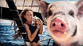  Say AHOY to Peanut the Sailing Pig!!! (Expedition Drenched S1 Ep. 50)