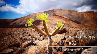 Our first days on Lanzarote - beautiful impressions on the coast and the volcanic inland.