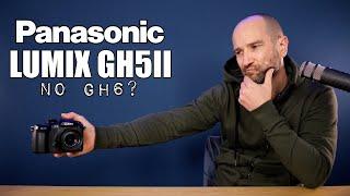 The Panasonic GH5 II That Nobody Wanted?