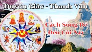 Cõi Duyên Giác - Thanh Văn - A la hán - Cảnh Giới Mà Ta Tự Đến