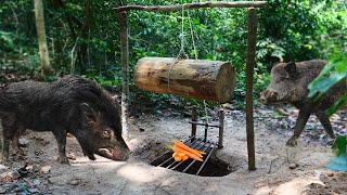Build Unique Primitive Wild boar Trapping Tool Using Big Wood Fall in to Deep Hole That Work 100%