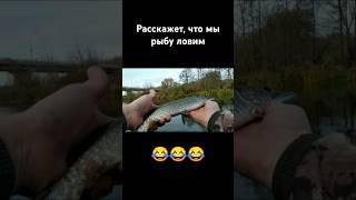 Как победить на рыбалке #fishing #рыбалка #shorts