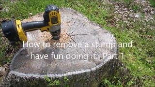 Easy Way to Remove Tree Stumps - Part 1