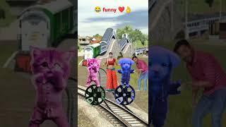  cute funny aunty & baby cat and dog stop the train by dance #shorts #train