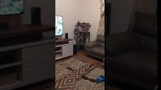 Akibat SFH (School From Home)