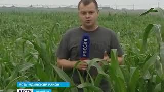 Як фермери точик дар Россия