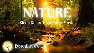 Relaxing Music with Water Sounds to Calm The Mind, Stop Thinking Music to Sleep, Soul and Body‍️