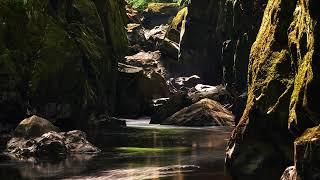 Photographing Fairy Glen in Betws-y-coed, Snowdonia