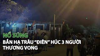 Nổ Súng bắn hạ Trâu “Điên” húc 3 người thương vong| VTC14