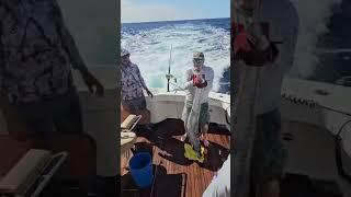 Armada Sportfishing action!