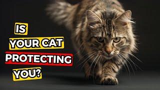 9 Signs Your Cat is Secretly Protecting You!