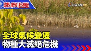 全球氣候變遷 物種大滅絕危機【熱線追蹤】