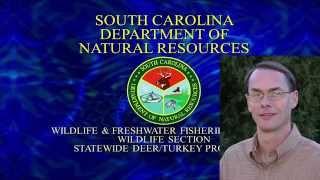 Proposed Legislation for Deer Management in South Carolina