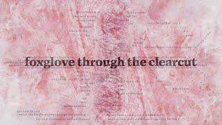 Death Cab for Cutie - Foxglove Through The Clearcut (Official Lyric Video)