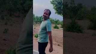 Aye deewane Dil 🫴......#shortvideo #viralshort #music #lovesong #lovemusic #hindisong #trending