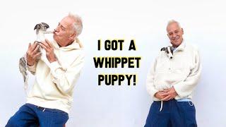 Michael Barrymore - I got a Whippet puppy!