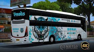 Raja Ranchhod travels bus livery | MAYYLO YT | bussid livery | bussid mod | bus simulator indonesia