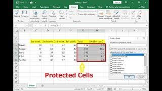 How to Password Protect Particular Excel Cells Excel (2003-2016)