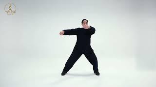 Chen Style Tai Chi Laojia 13 Form (Zhu Tian Cai) 陈式太极拳老架 十三式 (朱天才)