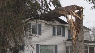 Dangerous Idiots Tree Felling Fails Working With Chainsaw, Heavy Big Tree Falling On Houses