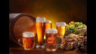 Beer Production Process / Beer Production Process