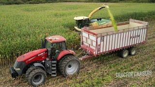 Krone Big X680 Forage Harvester Chopping Corn