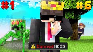 I Tried EVERY ILLEGAL BANNED Mod in Minecraft