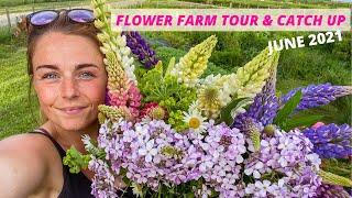 FLOWER FARM TOUR & CATCH UP (JUNE EDITION)