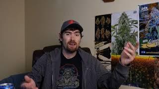The Official NEW DrAutoflower Channel And Termination Update